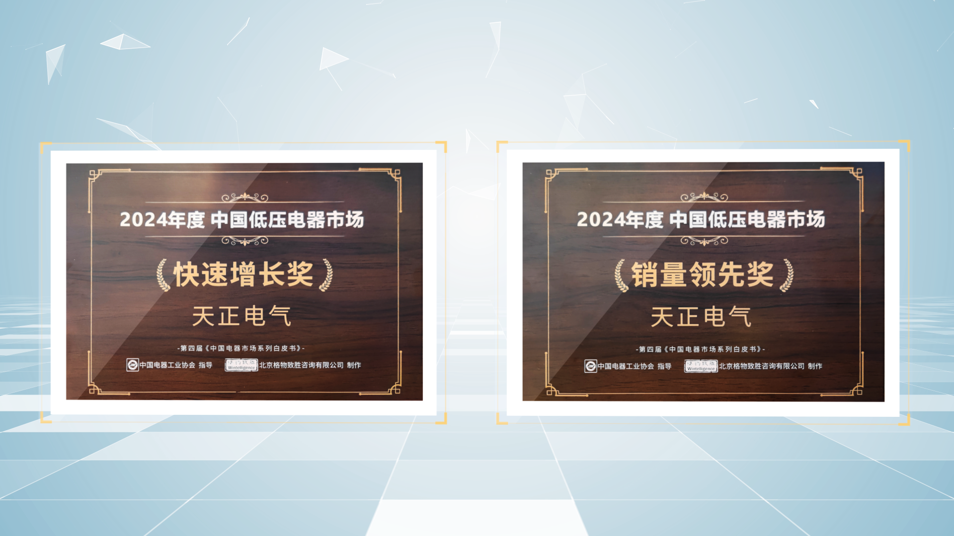 销量领先、快速增长丨ng28娱乐注册入口荣膺2项行业年度大奖